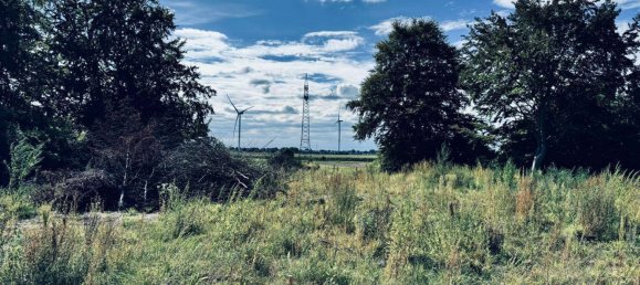  Land in Pinneberg, Germany No. 327071 4