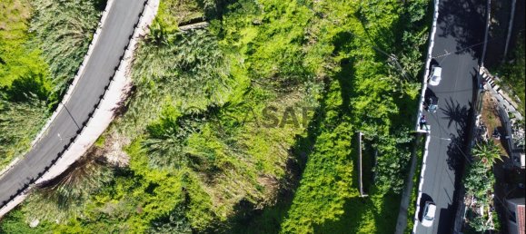 Grundstück in Ribeira Brava, Portugal 3250m², Nr. 143467 8