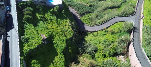 Grundstück in Ribeira Brava, Portugal 3250m², Nr. 143467 11