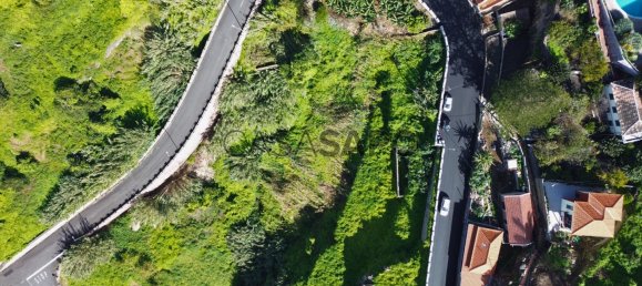 Grundstück in Ribeira Brava, Portugal 3250m², Nr. 143467 9