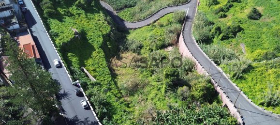 Grundstück in Ribeira Brava, Portugal 3250m², Nr. 143467 13