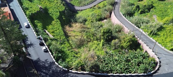 Grundstück in Ribeira Brava, Portugal 3250m², Nr. 143467 12