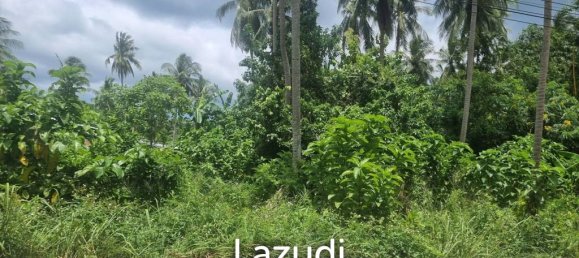 Commercial property in Surat Thani, Thailand No. 24805 3