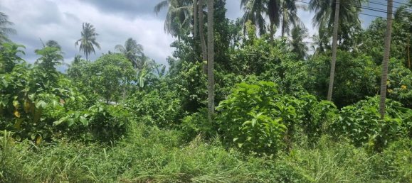  قطعة أرض في Surat Thani, Thailand رقم 24805 2