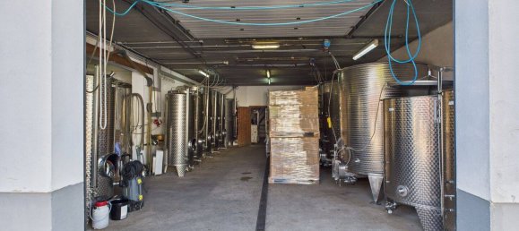 Almacén en Bernkastel-Wittlich, Germany 383 m² No. 332219 19