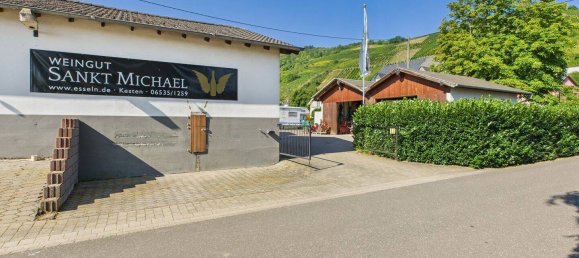 Almacén en Bernkastel-Wittlich, Germany 383 m² No. 332219 7