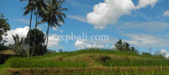 Земельный участок 19200м² в Tabanan, Индонезия № 3815 9