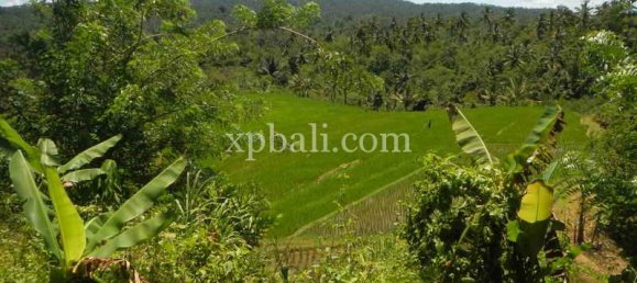 Земельный участок 19200м² в Tabanan, Индонезия № 3815 8