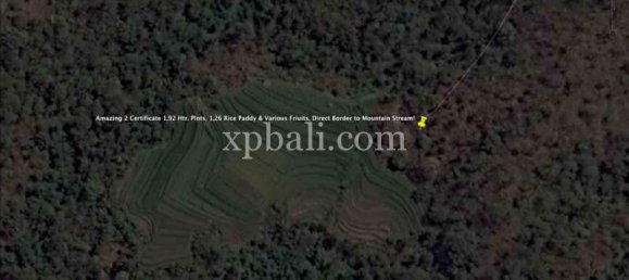 Земельный участок 19200м² в Tabanan, Индонезия № 3815 11