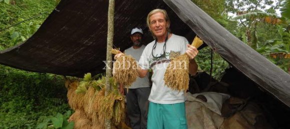 Земельный участок 19200м² в Tabanan, Индонезия № 3815 5