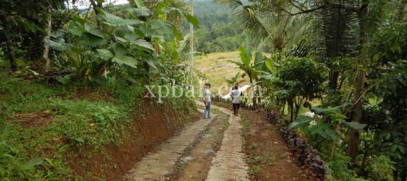 Земельный участок 19200м² в Tabanan, Индонезия № 3815 4