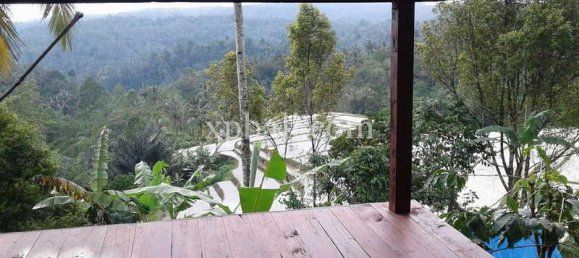 Земельный участок 19200м² в Tabanan, Индонезия № 3815 3