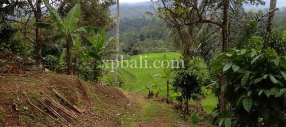 Земельный участок 19200м² в Tabanan, Индонезия № 3815 10
