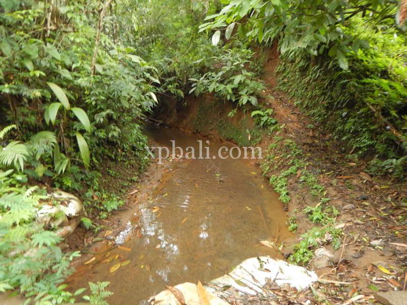 Земельный участок 19200м² в Tabanan, Индонезия № 3815