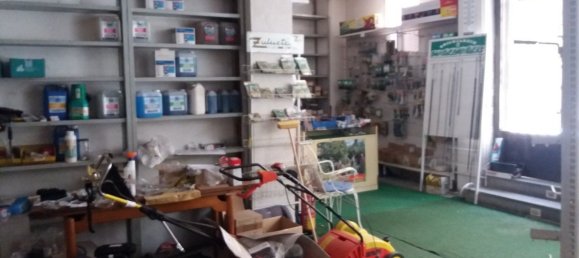 Propiedad comercial en Segovia, Spain 240 m² No. 26420 5