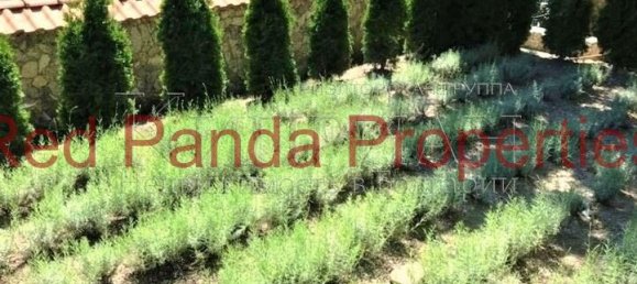 3 bedrooms House in Balchik, Bulgaria No. 1059 17