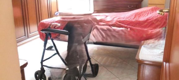 3 rooms Apartment in Rome, Italy No. 34000 14