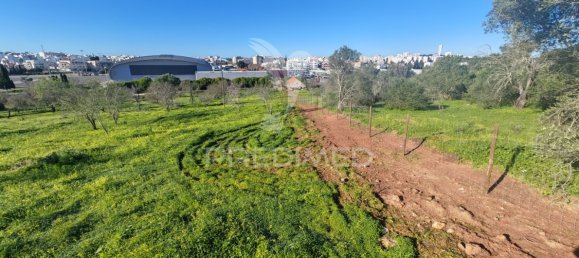 4210m² Land in Portimao, Portugal No. 73275 4