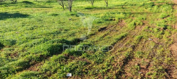 4210m² Land in Portimao, Portugal No. 73275 17