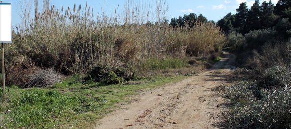 10500m² Hotel in Chalkidiki, Greece No. 8000 5