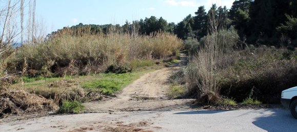 10500m² Hotel in Chalkidiki, Greece No. 8000 4