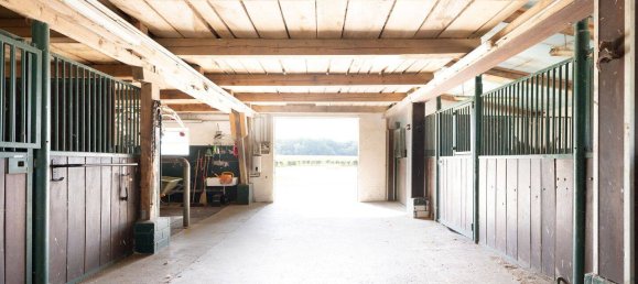 8 Schlafzimmer Bauernhof in Wesel, Germany, Nr. 343593 26