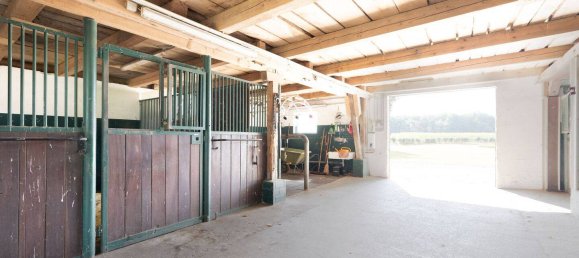 8 Schlafzimmer Bauernhof in Wesel, Germany, Nr. 343593 25