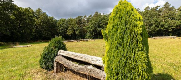 8 Schlafzimmer Bauernhof in Wesel, Germany, Nr. 343593 34