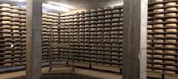  مستودع في Cosio Valtellino, Italy 1642متر مربع رقم 257681 12