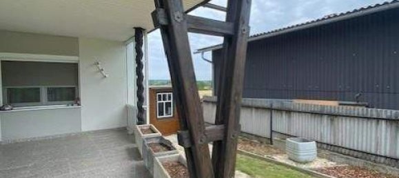 Bungalow de 4 habitaciónes en Grosspetersdorf, Austria No. 243291 25