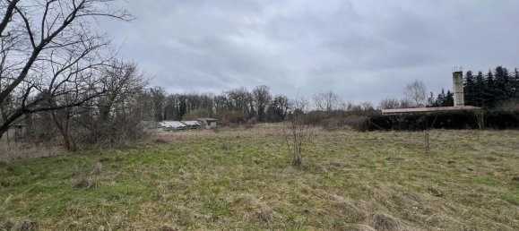  Land in Potsdam-Mittelmark, Germany No. 1664 8