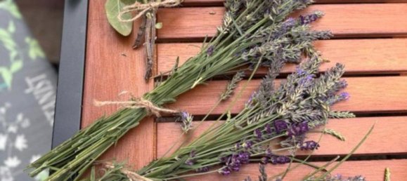 Grundstück in Dresden, Germany, Nr. 291894 18