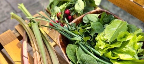 Grundstück in Dresden, Germany, Nr. 291894 15