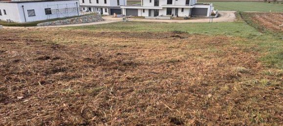 Земельный участок в Перг, Австрия № 165315 4