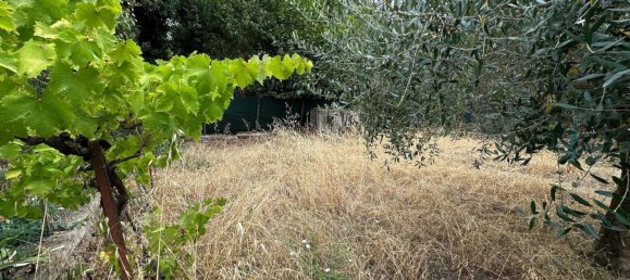 5 bedrooms Apartment in Florence, Italy No. 347535 19