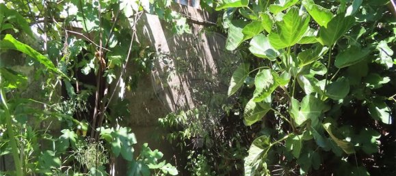 4 bedrooms House in Lardosa, Portugal No. 161943 33