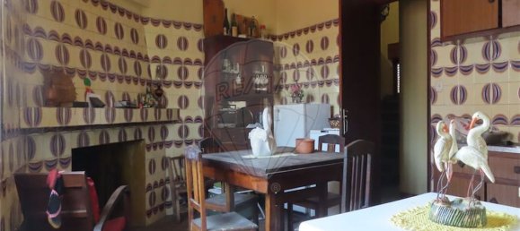 4 bedrooms House in Lardosa, Portugal No. 161943 15