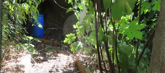 4 bedrooms House in Lardosa, Portugal No. 161943 38