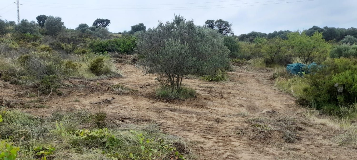 Terrain à Vilajuiga, Spain 25000m² No. 178915