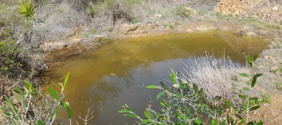 Terrain à Vilajuiga, Spain 25000m² No. 178915 5