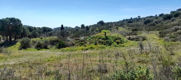 Terrain à Vilajuiga, Spain 25000m² No. 178915 2