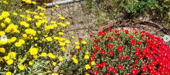 Terrain à Vilajuiga, Spain 25000m² No. 178915 4