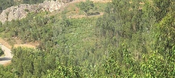 3 غرف نوم منزل في Aguda, Portugal رقم 18241 2