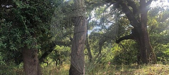 3 غرف نوم منزل في Aguda, Portugal رقم 18241 4