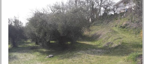 Villa de 7 dormitorios en Spoltore, Italy No. 379490 28