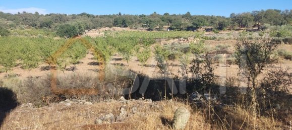 Casa T8 em Pinhel, Portugal N.º 79684 44