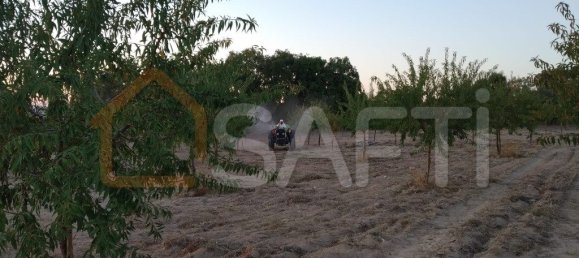 Casa T8 em Pinhel, Portugal N.º 79684 26