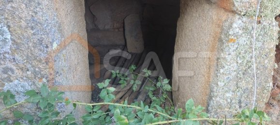 Casa T8 em Pinhel, Portugal N.º 79684 38