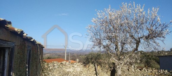 Casa T8 em Pinhel, Portugal N.º 79684 50