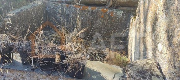 Casa T8 em Pinhel, Portugal N.º 79684 43